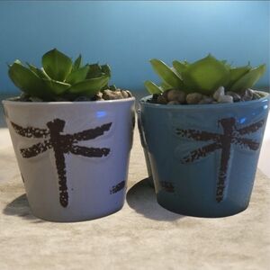 Dragonfly Design Ceramic Planters - Set of 2 Succulent Boho Zen Decor
